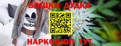 индика Будённовск