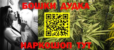 индика Будённовск