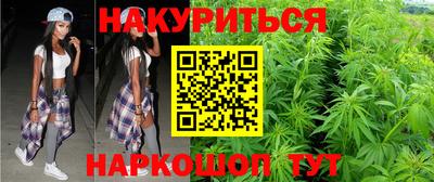 индика Будённовск