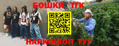 индика Будённовск