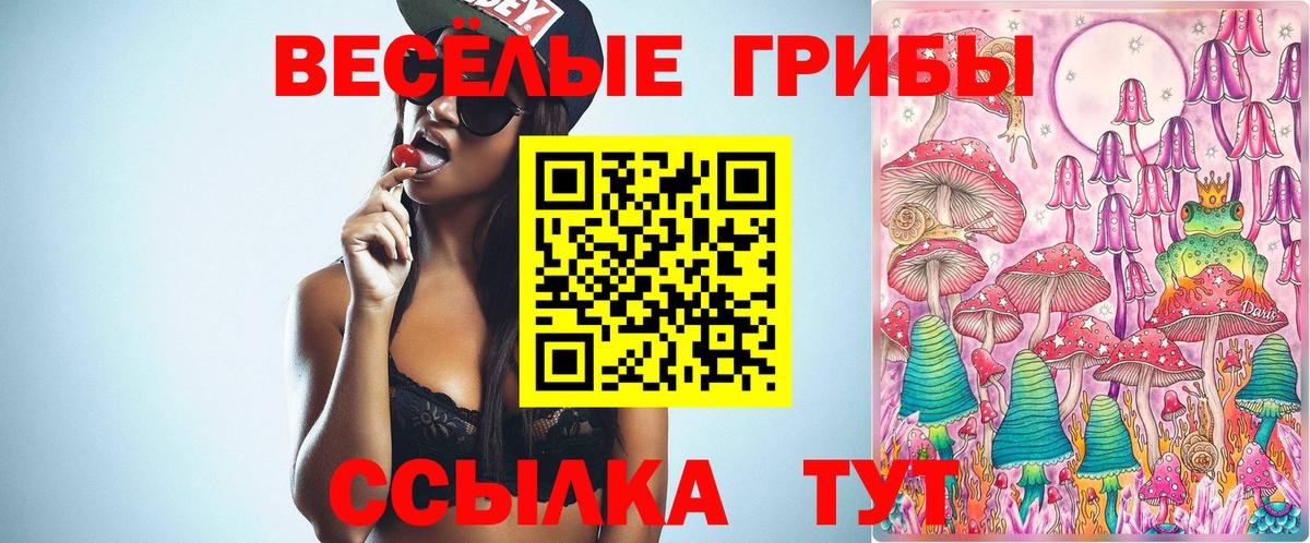 Партизанск  Галлюциногенные грибы ЛСД  Галлюциногенные грибы Psilocybe  Вход с VPN 