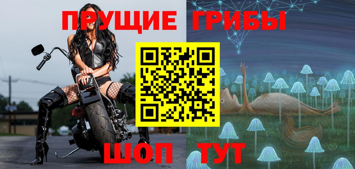 Галлюциногенные грибы Cubensis Партизанск